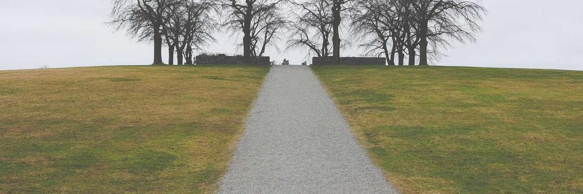 Banner dla UI/UX Designer