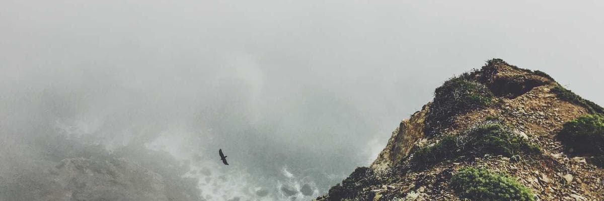 Banner dla HR Specialist