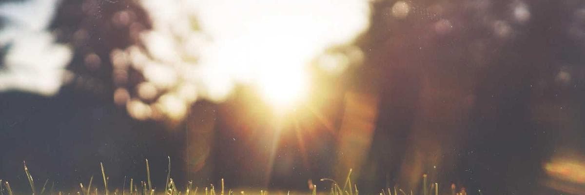 Banner dla Backend Developer