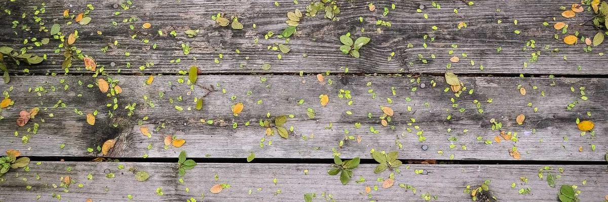 Banner dla UI/UX Designer