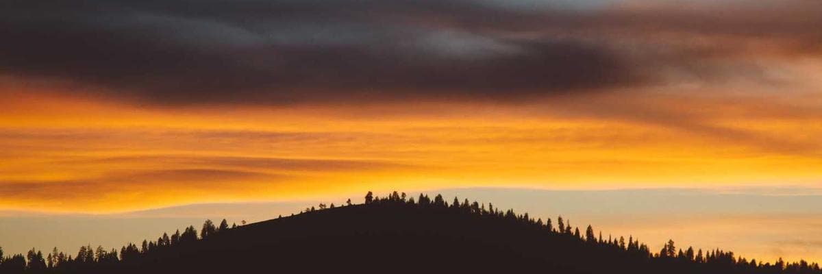 Banner dla Frontend Developer