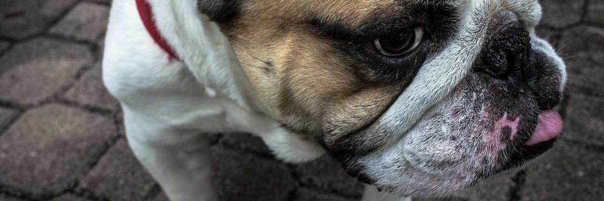 Banner dla HR Specialist