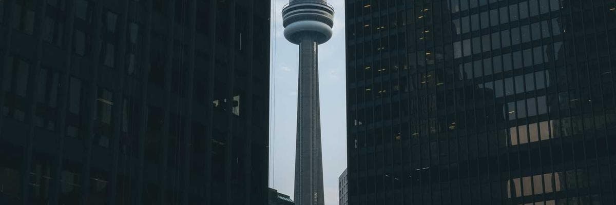 Banner dla Backend Developer