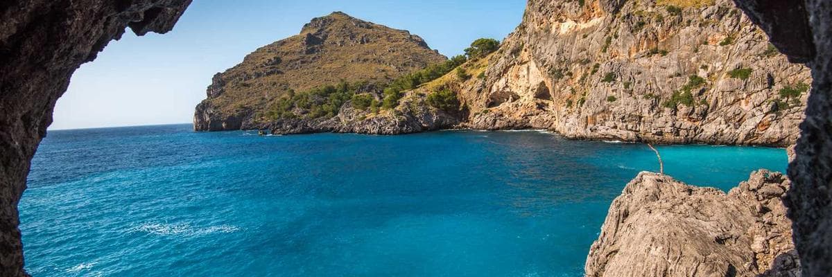 Banner dla Sales Manager